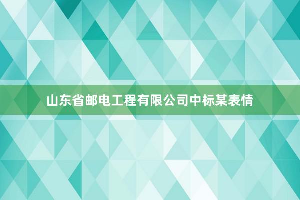 山东省邮电工程有限公司中标某表情